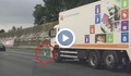 Гълъб вдигна 100 км/ч на магистрала, състезава се с колите