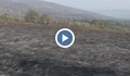 Огнената стихия в Хасковско е заради печени патладжани