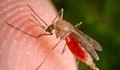 Вибратори и кремове пазят от малария