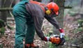 Дървосекач загина в планината край Преслав