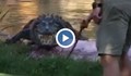 Нехайни туристи натъпкаха крокодил с пластмасови бутилки