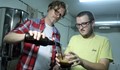 Англичанин и холандец правят бира с лактобацилус булгарикус