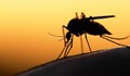 Страната ни е застрашена от малария