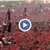 Стотици хиляди излязоха на митинг в подкрепа на Ердоган