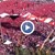 3 милиона души убиха демокрацията в Турция