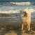 Застреляха домашно куче на варненски плаж