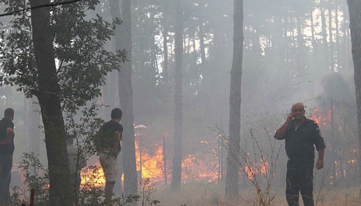 Огнената стихия обхвана 3000 декара гори