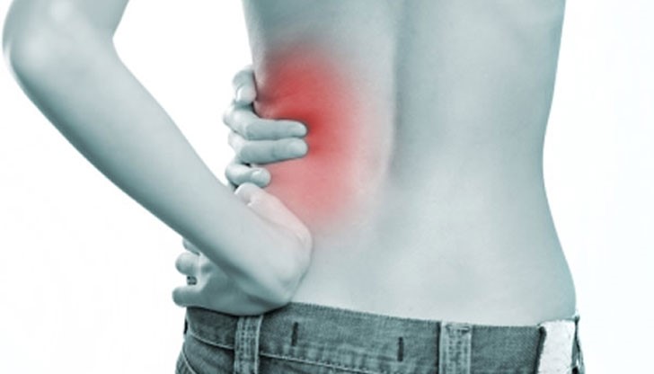 Бъбреците отговарят за много повече процеси в тялото, отколкото подозираме