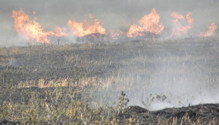 За вторник максималните температури се очаква да са между 29 и 34 градуса За вторник максималните температури се очаква да са между 29 и 34 градуса