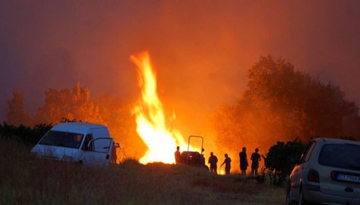 Паркът за втори път понася щети от пожар Паркът за втори път понася щети от пожар
