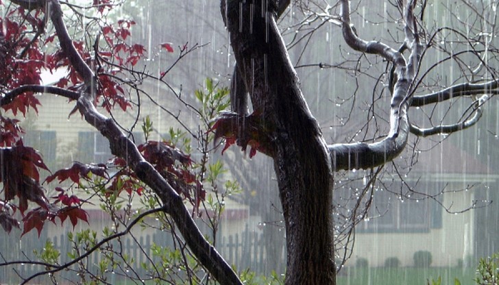 Синоптиците обявиха какво ще е времето през месец септември Синоптиците обявиха какво ще е времето през месец септември