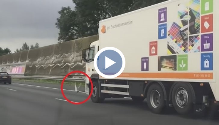 Шофьорът, който го е заснел, твърди, че птицата се е движела с него 20 километра