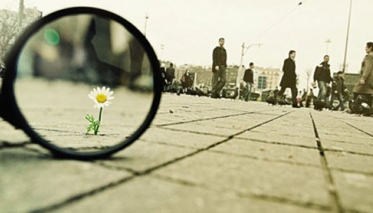 Благодарственото писмо на една очарована русенка