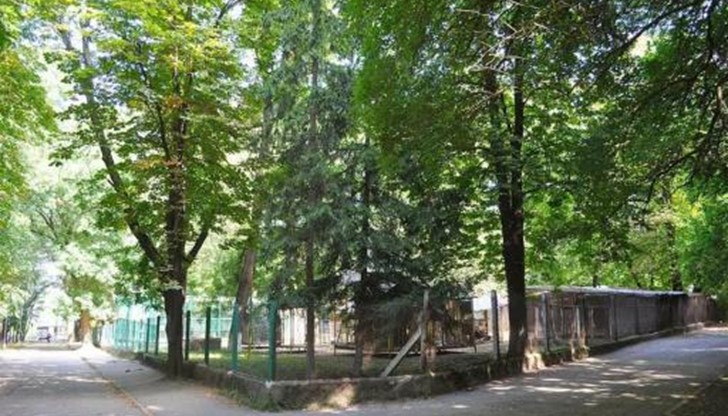 Зоопаркът тъне в мизерия, а животните живеят като в концлагера „Аушвиц“