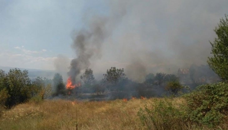 Гори вилната зона Каракос, пожарникари и полицаи го издерват безуспешно засега