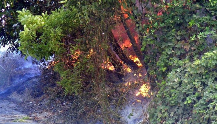 Огънят отива към благоевградското село Дъбрава