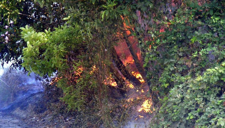 Огънят е бил на метри от една от вилните зони край града и вероятно е възникнал от незагасена цигара