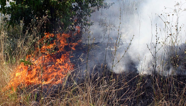 Към момента огнището се контролира, но има готовност за евакуация на местни жители Към момента огнището се контролира, но има готовност за евакуация на местни жители