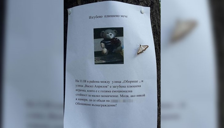 Дете си загуби любимата плюшена играчка, търсят я с обява
