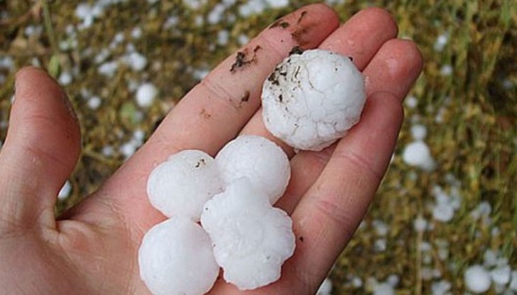 Земеделските производители в района съобщават за съсипана продукция / Снимката е илюстративна Земеделските производители в района съобщават за съсипана продукция / Снимката е илюстративна