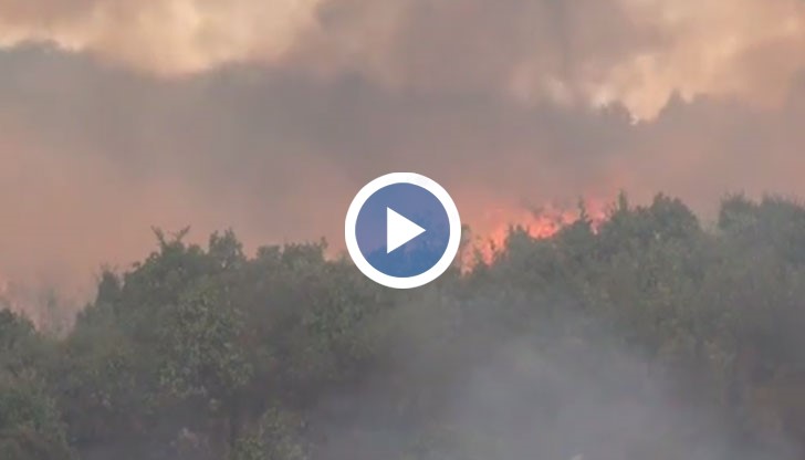Пожар унищожава огромна площ в Източните Родопи