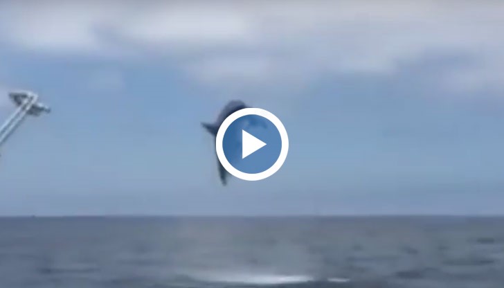 Нестандартното шоу продължило цели двайсет минути