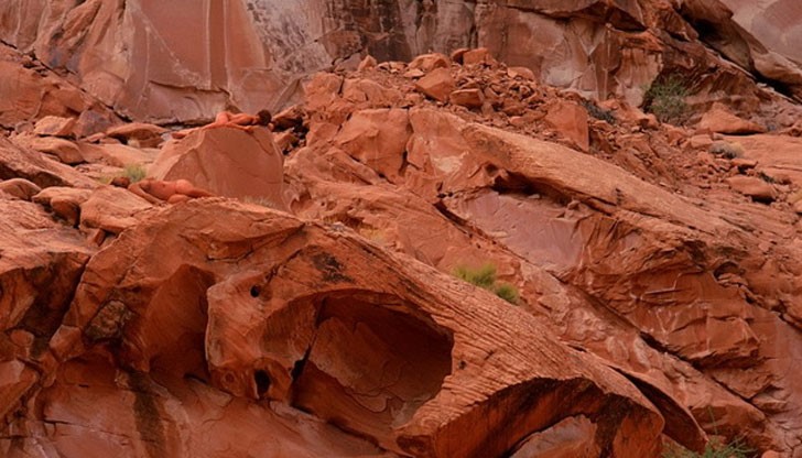 Жените са замаскирани в красиви природни пейзажи с помощта на много грим и аксесоари