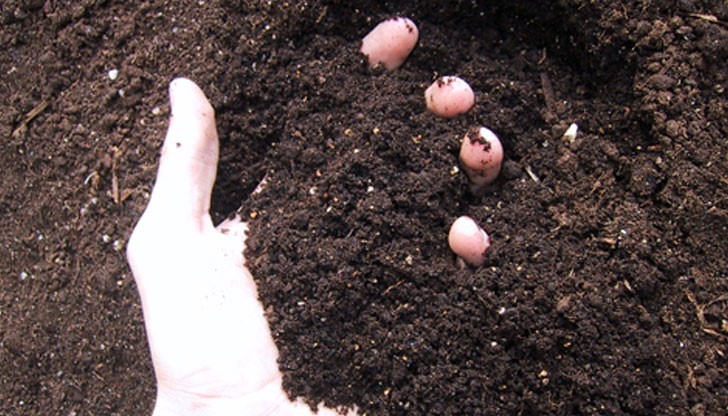 Малко пръст в менюто ще ви се отрази добре Малко пръст в менюто ще ви се отрази добре