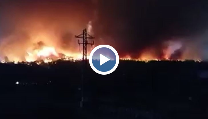 Горски пазач на 54 години загина, опитвайки се да потуши огъня