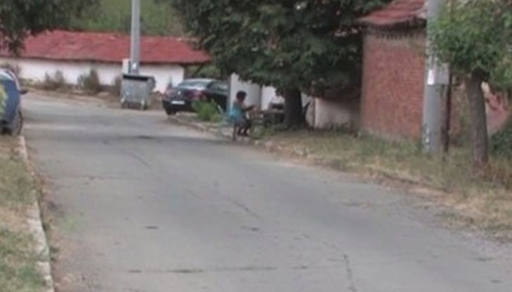 Роднини на пострадалите я линчуваха, изпотрошиха колата й