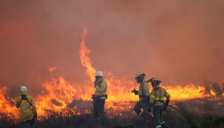 Снощи пожарът обхвана площ от 8 000 декара, в това число 2663 декара гора Снощи пожарът обхвана площ от 8 000 декара, в това число 2663 декара гора