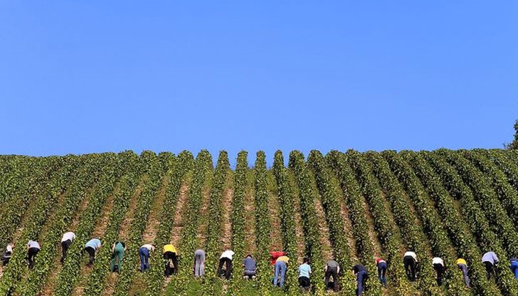 В стремежа си да намерят работа сънародниците ни са готови на големи компромиси