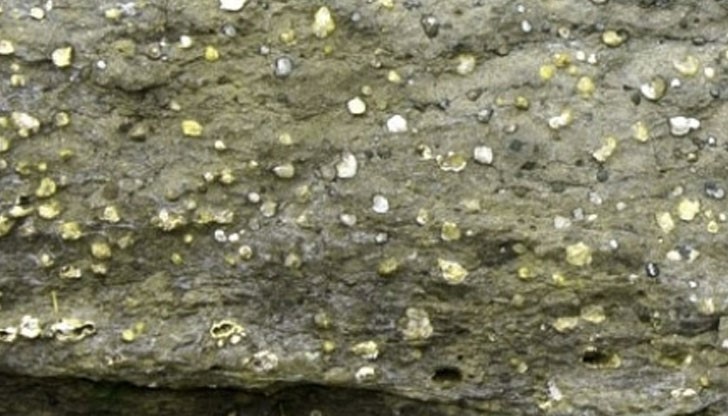 Заради тези негови свойства той граничи с „вълшебството” Заради тези негови свойства той граничи с „вълшебството”