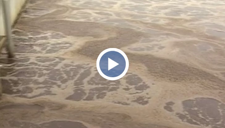 В много европейски страни е практика тази утайка да се използва за торене, но у нас това се прави единствено Русе