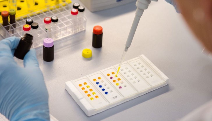 Съществува възможност вирусът зика да се адаптира към комарите, които се намират по нашите географски ширини