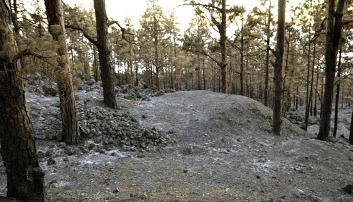 От съображения за сигурност местните власти евакуираха около 2500 души