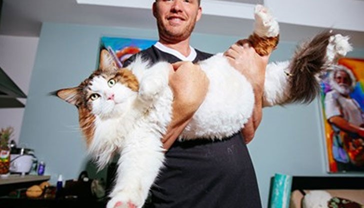 Той е от Ню Йорк и тежи 28 килограма