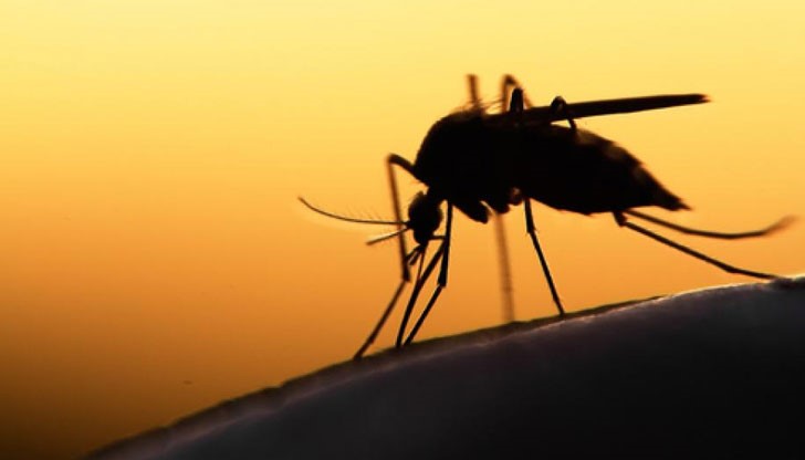 Забраниха кръводарителството в 12 района на Гърция зарази болестта