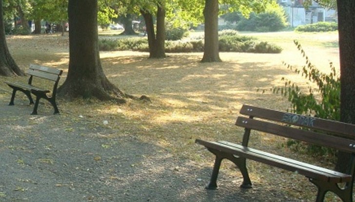 Г-жа Панова: Уважаеми общински служители, възхитена съм от Вас / Снимката е илюстративна