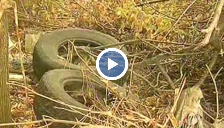 Занемарени имоти в центъра са се превърнали в развъдник на гризачи и свърталище на бездомници