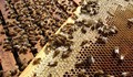 Русенски пчелари алармираха за фалшив мед по магазините