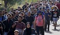 10 000 бежанци са се изпарили