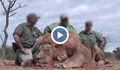 Американски богаташи застреляха питомни лъвове