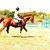 50 коня от цялата страна на състезание в Русе 50 коня от цялата страна на състезание в Русе