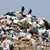 Сто хиляди в русенско нямат депо за отпадъци