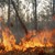 Екстремален индекс за опасност от пожари в област Русе