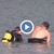 5-годишно дете е удавено в река Дунав