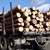 Полицията задържа камион с незаконни дърва в Русенско