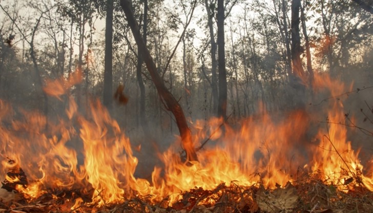 При този индекс са възможни бързо разпространяващи се много силни пожари с въвличане на дървесните корони