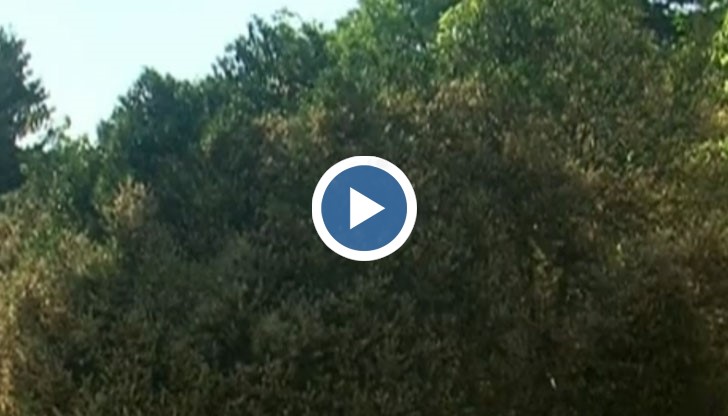 Експерти са установили, че неприятелят е поразил площи в цяла Европа